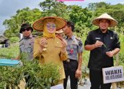 Wali Kota Kendari dan Wakil Wali Kota Tanam dan Panen Komoditi di Lapas Kendari