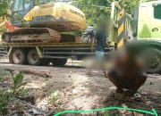 KTH Malaringgi Wood Persada diduga Melakukan Pemalsuan Data Terkait Izin Pengolahan Hasil Hutan
