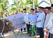 Wakil Bupati Koltim Menerima Bantuan Sapi 925 Kg Oleh Presiden Prabowo Diserahan Ke Warga Penanggo Jaya
